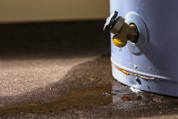  Washington, WV Water damage restoration Pros