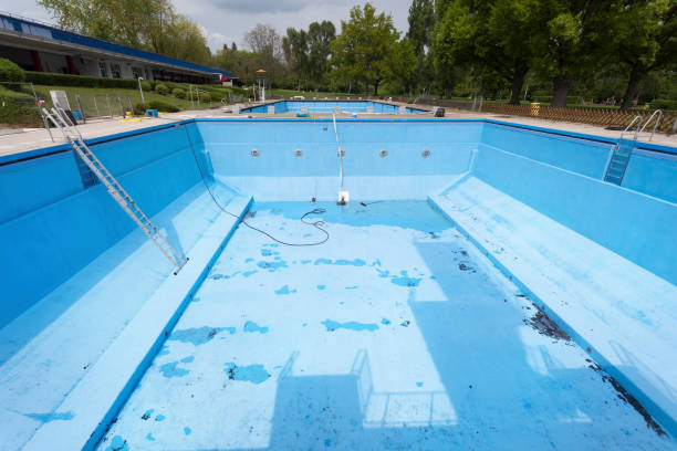 Best Professional water damage repair  in Washington, WV