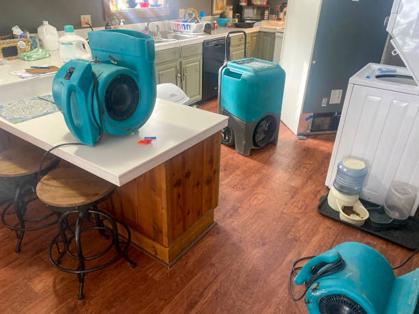 Best Water damage contractors near me  in Washington, WV