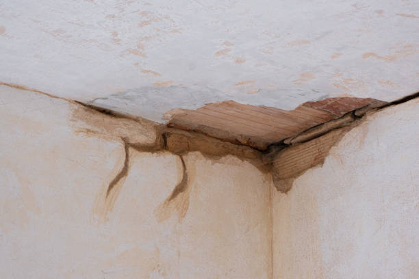 Best Fire Damage Restoration  in Washington, WV