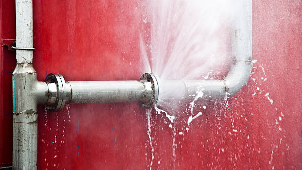 Best Fire Damage Restoration  in Washington, WV